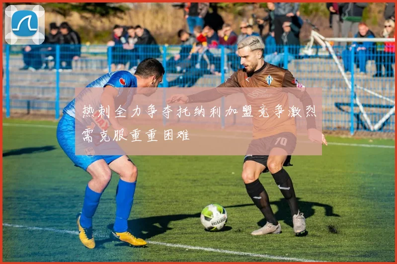 热刺全力争夺托纳利加盟竞争激烈需克服重重困难