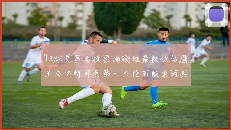 TA球员匿名投票揭晓谁最被低估鹰王与怀特并列第一杰伦布朗紧随其后