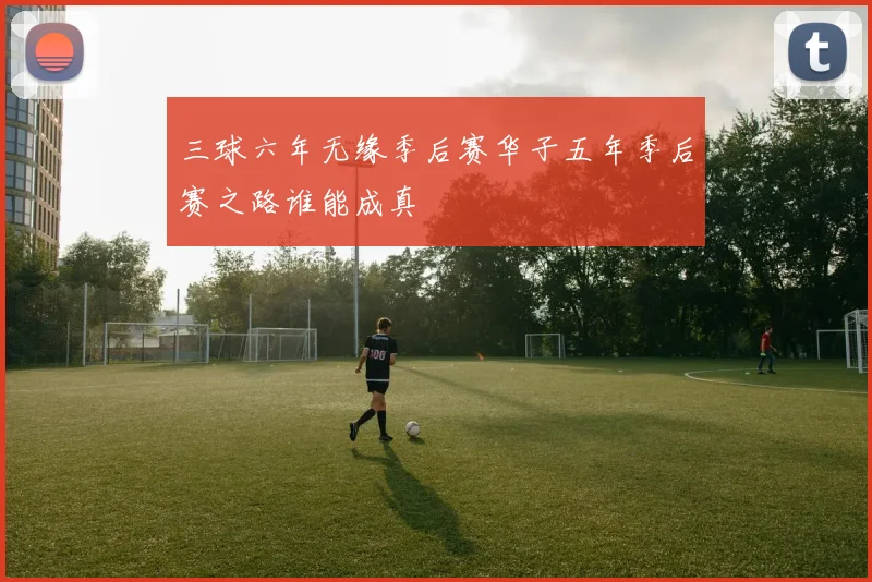 三球六年无缘季后赛华子五年季后赛之路谁能成真